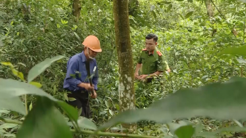 Thời sự Trưa NinhBinhTV - 24/05/2023