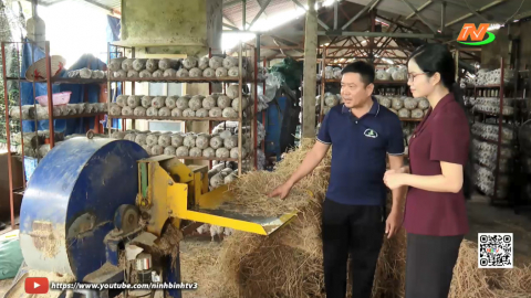 N&ocirc;ng d&acirc;n s&aacute;ng tạo - L&agrave;m chủ c&ocirc;ng nghệ trong trồng nấm 