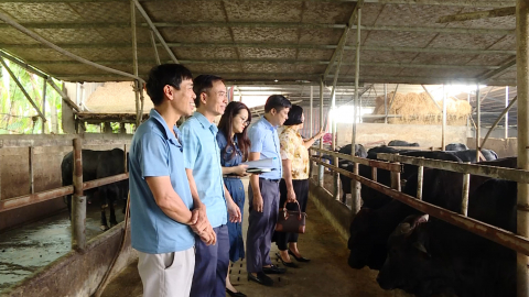 Giải b&agrave;i to&aacute;n tho&aacute;t ngh&egrave;o bền vững trong giai đoạn mới