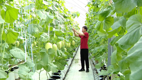 Thời sự Trưa NinhBinhTV - 13/10/2025