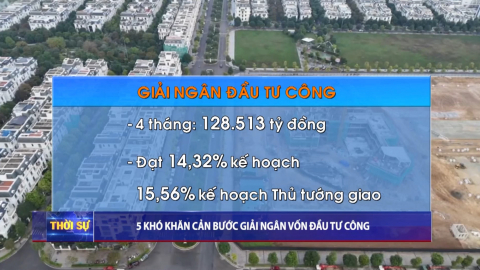Thời sự Trưa NinhBinhTV - 29/04/2025.