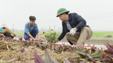 Kim Sơn tập trung cải thiện m&ocirc;i trường sống