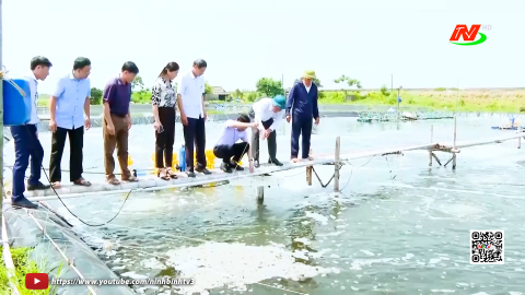Hiệu quả từ nu&ocirc;i t&ocirc;m thẻ ch&acirc;n trắng