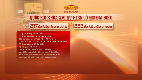 Thời sự Trưa NinhBinhTV - 13/11/2025