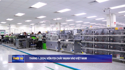 Thời sự Trưa NinhBinhTV - 29/01/2024