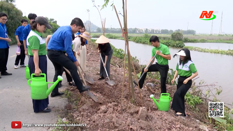 Ra mắt m&ocirc; h&igrave;nh đường c&acirc;y thanh ni&ecirc;n