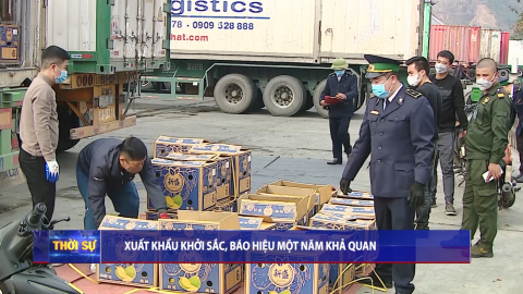 Thời sự Trưa NinhBinhTV - 12/02/2024