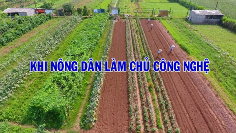 N&ocirc;ng d&acirc;n Ninh B&igrave;nh thời c&ocirc;ng nghệ số