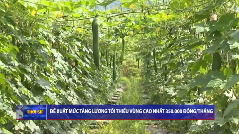 Thời sự Trưa NinhBinhTV - 19/7/2025.