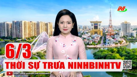 Thời sự Tối NinhBinhTV - 06/3/2026