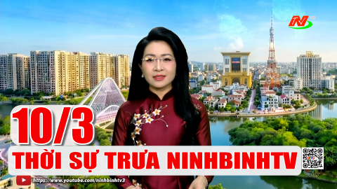 Thời sự Trưa NinhBinhTV - 10/3/2026