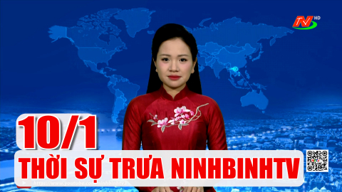 Thời sự Trưa NinhBinhTV - 10/01/2026