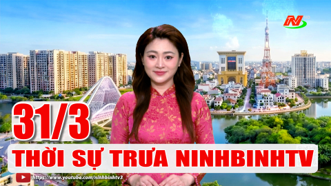 Thời sự Trưa NinhBinhTV - 31/3/2026