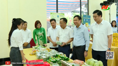 Hội nghị kết nối ti&ecirc;u thụ n&ocirc;ng sản, sản phẩm OCOP tỉnh Ninh B&igrave;nh năm 2026