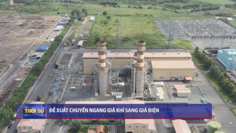 Thời sự Trưa NinhBinhTV - 22/4/2024