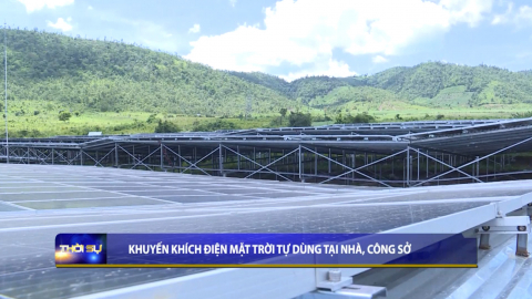 Thời sự Trưa NinhBinhTV - 19/06/2023