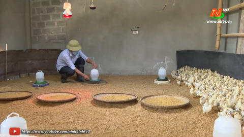 Biện ph&aacute;p ph&ograve;ng chống r&eacute;t cho gia s&uacute;c, gia cầm