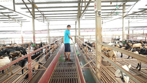 Đảng bộ Kh&aacute;nh Trung tập trung l&atilde;nh đạo, chỉ đạo ph&aacute;t triển kinh tế