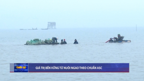 Gi&aacute; trị bền vững từ nu&ocirc;i ngao theo chuẩn ASC