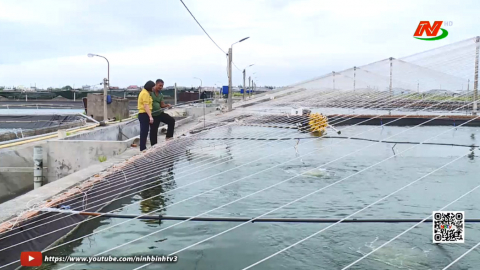 N&ocirc;ng d&acirc;n thi đua l&agrave;m kinh tế, chủ động hội nhập