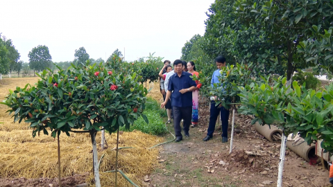 Ninh B&igrave;nh thực hiện hiệu quả th&aacute;ng h&agrave;nh động v&igrave; người cao tuổi năm 2026