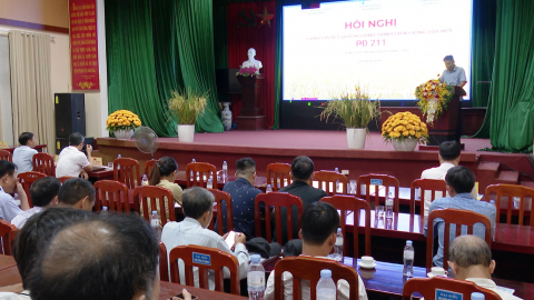 Đ&aacute;nh gi&aacute; kết quả m&ocirc; h&igrave;nh tr&igrave;nh diễn giống l&uacute;a mới PĐ 211