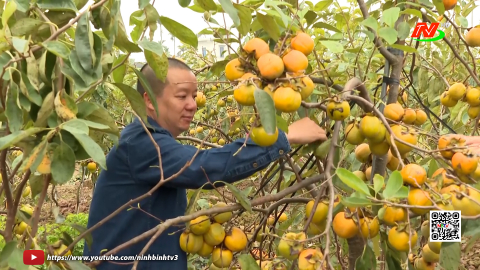 Hội N&ocirc;ng d&acirc;n đồng h&agrave;nh c&ugrave;ng hội vi&ecirc;n ph&aacute;t triển kinh tế