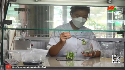 Việt Nam sẽ th&iacute; điểm ch&iacute;nh s&aacute;ch "Doanh nghiệp một người"