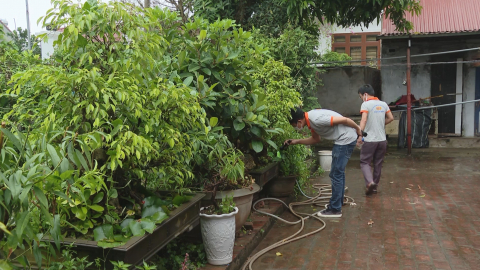 Chủ động c&aacute;c biện ph&aacute;p ph&ograve;ng chống bệnh sốt xuất huyết