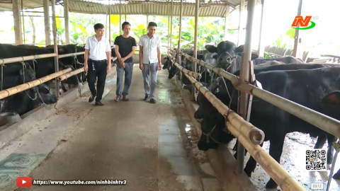Hiệu quả từ c&aacute;c m&ocirc; h&igrave;nh chuyển đổi trong n&ocirc;ng nghiệp