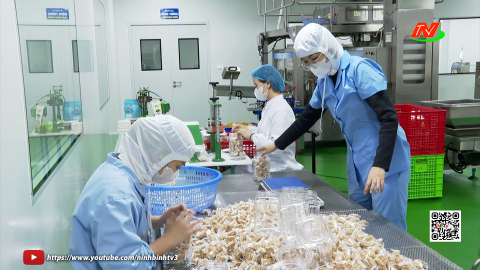 Chuẩn bị nguồn n&ocirc;ng sản sạch phục vụ thị trường Tết