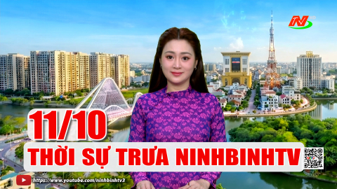 Thời sự Trưa NinhBinhTV - 11/10/2026