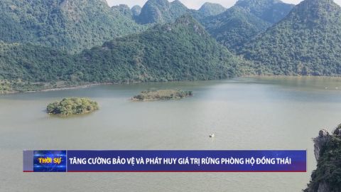 Tăng cường bảo vệ v&agrave; ph&aacute;t huy gi&aacute; trị rừng ph&ograve;ng hộ Đồng Th&aacute;i