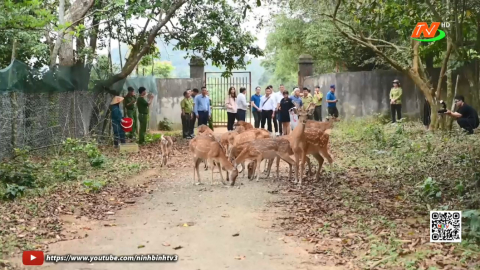 Triển khai kế hoạch h&agrave;nh động t&aacute;i hoang d&atilde; vườn Quốc gia C&uacute;c Phương