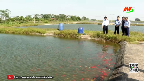 Li&ecirc;n Minh khơi dậy tiềm năng ph&aacute;t triển kinh tế