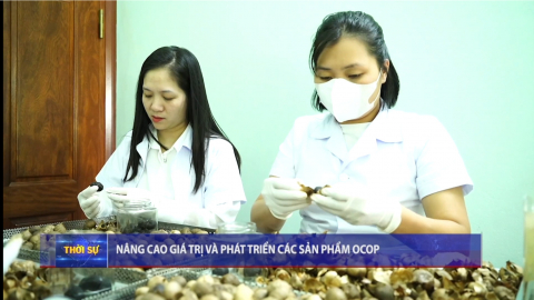 N&acirc;ng cao gi&aacute; trị v&agrave; ph&aacute;t triển c&aacute;c sản phẩm OCOP.