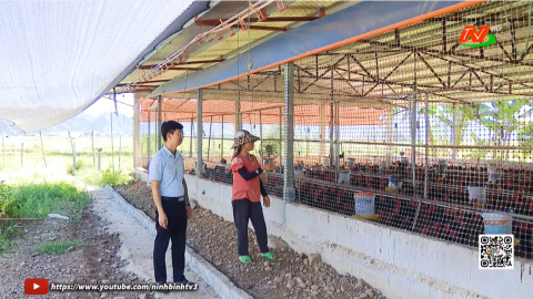 Quan t&acirc;m ph&aacute;t triển chăn nu&ocirc;i tập trung an to&agrave;n, bền vững