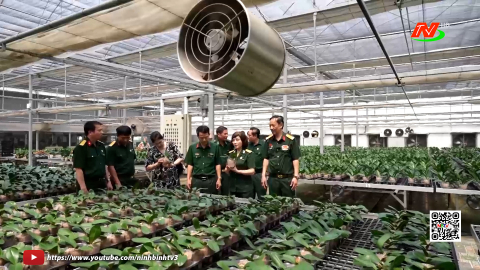 Cựu chiến binh Ninh B&igrave;nh đẩy mạnh học tập v&agrave; l&agrave;m theo B&aacute;c 