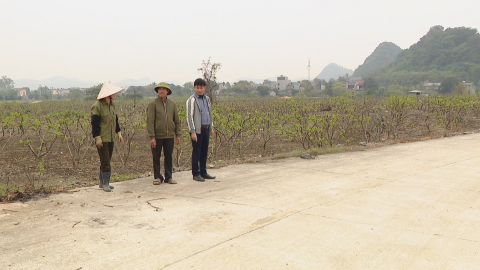 Hiệu quả dự &aacute;n n&acirc;ng cấp đường giao th&ocirc;ng n&ocirc;ng th&ocirc;n tại Ph&uacute; Long