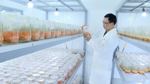 Để c&ocirc;ng nghệ tạo ra gi&aacute; trị thật