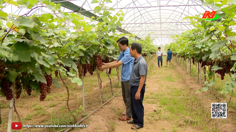 N&ocirc;ng th&ocirc;n mới Ninh B&igrave;nh - Từ hạ tầng đến kinh tế sau 1 năm hợp nhất 
