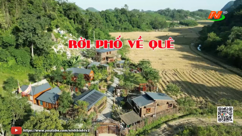 Rời phố về qu&ecirc;