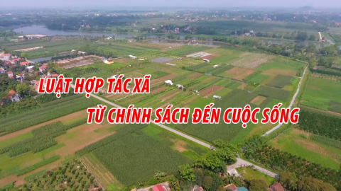 Luật Hợp t&aacute;c x&atilde; - Từ ch&iacute;nh s&aacute;ch đến cuộc sống