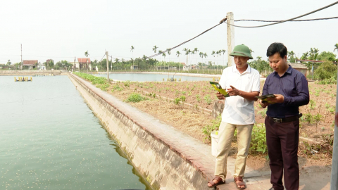 Hải Thịnh ph&aacute;t triển chăn nu&ocirc;i an to&agrave;n