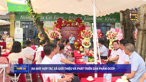 Ra mắt hợp t&aacute;c x&atilde; giới thiệu v&agrave; ph&aacute;t triển sản phẩm OCOP