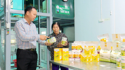 Sản xuất theo hướng hữu cơ - N&acirc;ng cao chất lượng n&ocirc;ng sản 