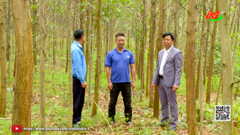 Thanh ni&ecirc;n Ph&uacute; Sơn đẩy mạnh ph&aacute;t triển kinh tế 