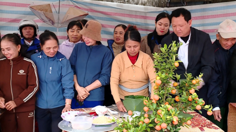Hội thi g&oacute;i b&aacute;nh chưng v&agrave; b&agrave;y m&acirc;m ngũ quả Tết B&iacute;nh ngọ