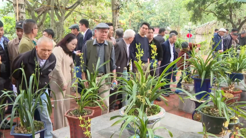 Gần 300 t&aacute;c phẩm tham gia Hội thi Hoa địa lan Nam Định xu&acirc;n 2026