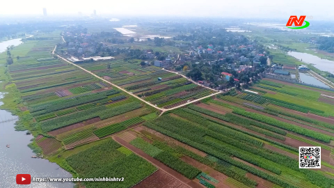 Ph&aacute;t triển kinh tế v&ugrave;ng đất b&atilde;i